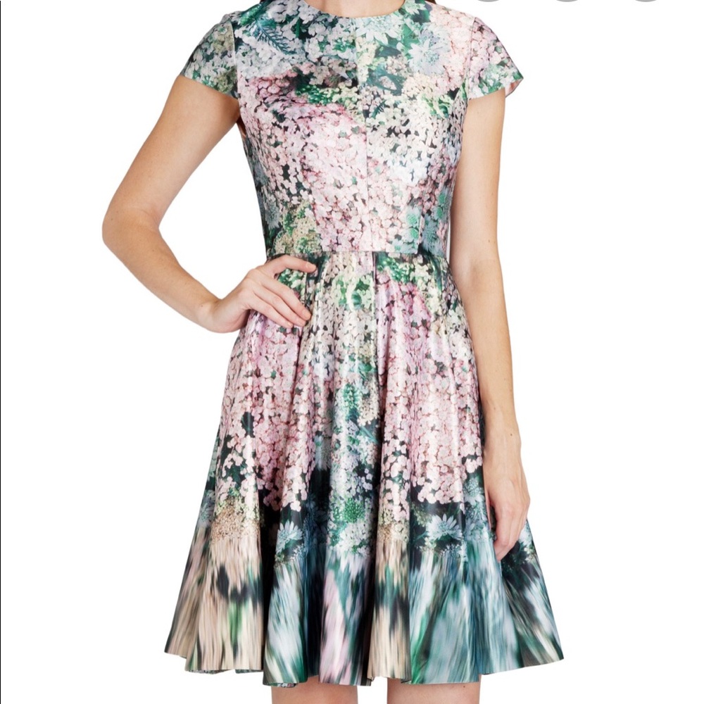 Ted baker glitch pink and green dress
